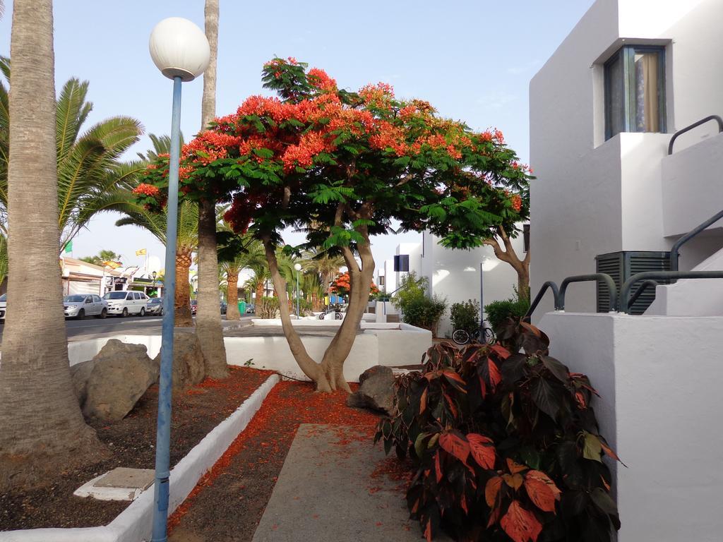 Habitaciones Residencial Corralejo Centro Playa Exterior foto